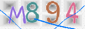 CAPTCHA 驗證圖片