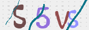 CAPTCHA 驗證圖片