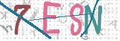 CAPTCHA 驗證圖片