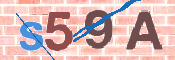 CAPTCHA 驗證圖片