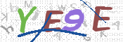 CAPTCHA 驗證圖片