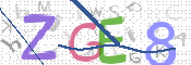 CAPTCHA 驗證圖片