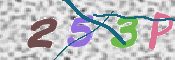 CAPTCHA 驗證圖片