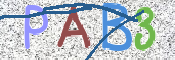 CAPTCHA 驗證圖片