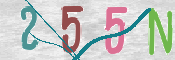CAPTCHA 驗證圖片