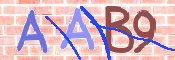 CAPTCHA 驗證圖片
