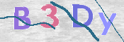 CAPTCHA 驗證圖片