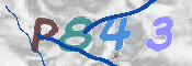 CAPTCHA 驗證圖片