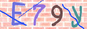 CAPTCHA 驗證圖片
