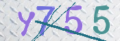 CAPTCHA 驗證圖片