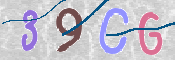 CAPTCHA 驗證圖片