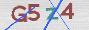 CAPTCHA 驗證圖片
