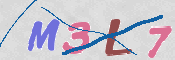CAPTCHA 驗證圖片