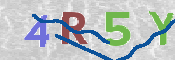 CAPTCHA 驗證圖片