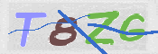CAPTCHA 驗證圖片