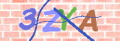 CAPTCHA 驗證圖片