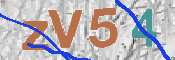 CAPTCHA 驗證圖片
