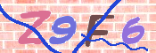 CAPTCHA 驗證圖片