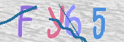 CAPTCHA 驗證圖片