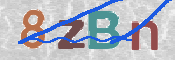 CAPTCHA 驗證圖片