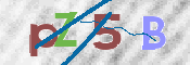 CAPTCHA 驗證圖片