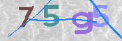 CAPTCHA 驗證圖片