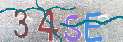 CAPTCHA 驗證圖片