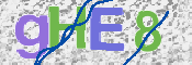 CAPTCHA 驗證圖片