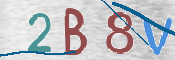 CAPTCHA 驗證圖片