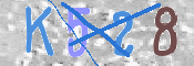 CAPTCHA 驗證圖片