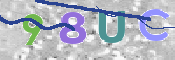 CAPTCHA 驗證圖片