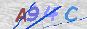 CAPTCHA 驗證圖片