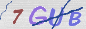CAPTCHA 驗證圖片