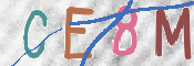 CAPTCHA 驗證圖片