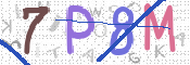 CAPTCHA 驗證圖片