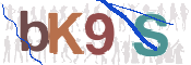 CAPTCHA 驗證圖片