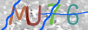 CAPTCHA 驗證圖片