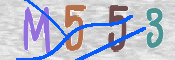 CAPTCHA 驗證圖片