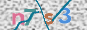CAPTCHA 驗證圖片