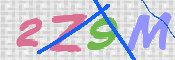 CAPTCHA 驗證圖片