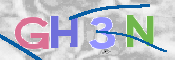 CAPTCHA 驗證圖片