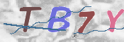 CAPTCHA 驗證圖片