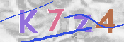 CAPTCHA 驗證圖片