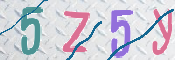 CAPTCHA 驗證圖片