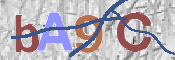 CAPTCHA 驗證圖片