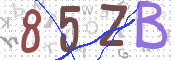 CAPTCHA 驗證圖片