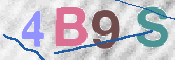 CAPTCHA 驗證圖片