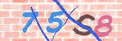 CAPTCHA 驗證圖片