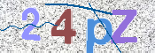 CAPTCHA 驗證圖片