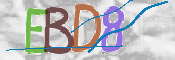 CAPTCHA 驗證圖片